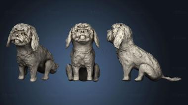 3D model SHIHTZU (STL)